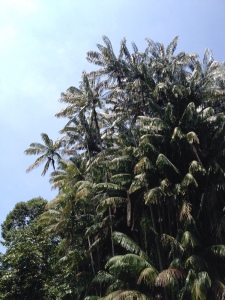 Our perfect birdwatching weather